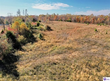 Dixie Highway, Elizabethtown, Kentucky 42701, ,For Sale,Dixie Highway,HK23004114