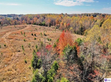 Dixie Highway, Elizabethtown, Kentucky 42701, ,For Sale,Dixie Highway,HK23004114