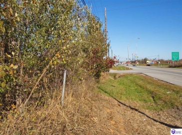 Dixie Highway, Elizabethtown, Kentucky 42701, ,For Sale,Dixie Highway,HK23004114