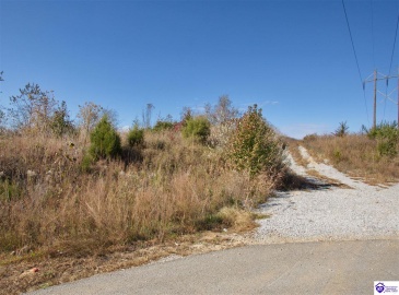 Dixie Highway, Elizabethtown, Kentucky 42701, ,For Sale,Dixie Highway,HK23004114