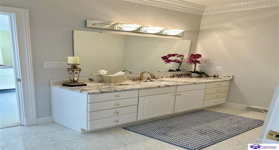 Lakeside Drive, Elizabethtown, Kentucky 42701, ,5 BathroomsBathrooms,For Sale,Lakeside Drive,HK24002470