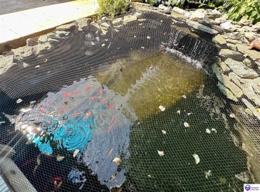 Lakeside Drive, Elizabethtown, Kentucky 42701, ,5 BathroomsBathrooms,For Sale,Lakeside Drive,HK24002470