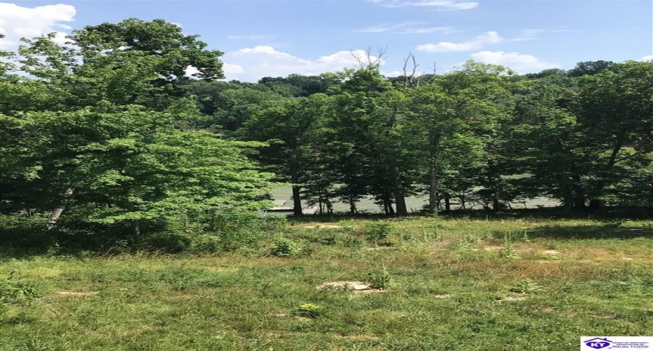 Edgewater Lane, Leitchfield, Kentucky 42714, ,2 BathroomsBathrooms,For Sale,Edgewater Lane,HK24002478