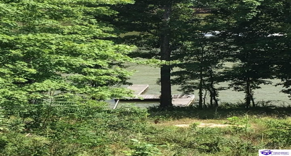 Edgewater Lane, Leitchfield, Kentucky 42714, ,2 BathroomsBathrooms,For Sale,Edgewater Lane,HK24002478