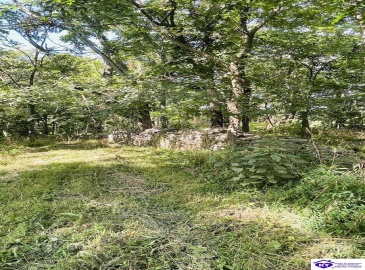 Graham Court, Greensburg, Kentucky 42743, ,2 BathroomsBathrooms,For Sale,Graham Court,HK24002487