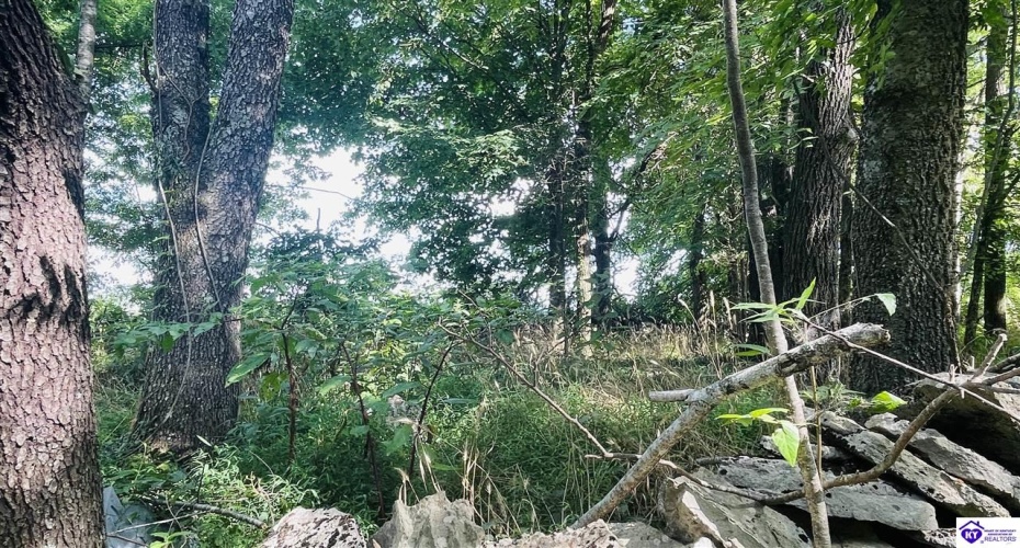 Graham Court, Greensburg, Kentucky 42743, ,2 BathroomsBathrooms,For Sale,Graham Court,HK24002487