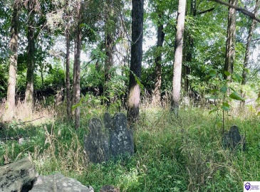 Graham Court, Greensburg, Kentucky 42743, ,2 BathroomsBathrooms,For Sale,Graham Court,HK24002487