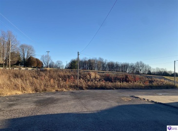 Greensburg Road, Campbellsville, Kentucky 42718, ,For Sale,Greensburg Road,HK10063269