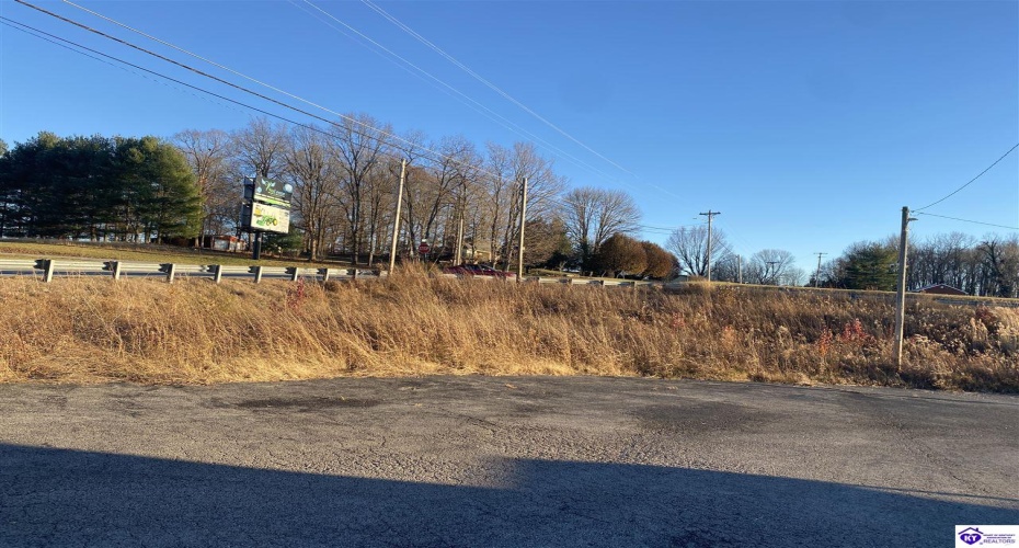 Greensburg Road, Campbellsville, Kentucky 42718, ,For Sale,Greensburg Road,HK10063269