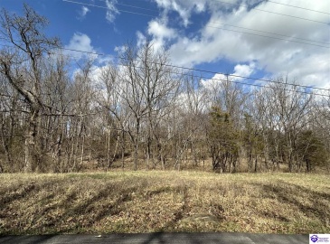 Wooden Lane, Elizabethtown, Kentucky 42701, ,For Sale,Wooden Lane,HK24000815