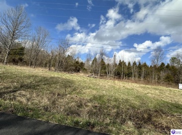 Wooden Lane, Elizabethtown, Kentucky 42701, ,For Sale,Wooden Lane,HK24000815