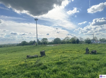 Samuels Road, Coxs Creek, Kentucky 40013, ,For Sale,Samuels Road,HK24002516