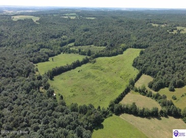 Alvie Road, Payneville, Kentucky 40157, ,For Sale,Alvie Road,HK24002540