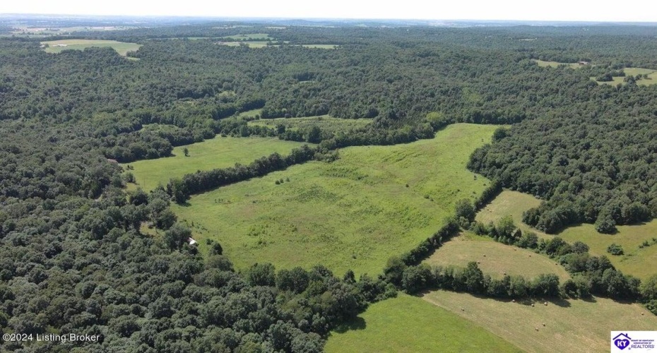 Alvie Road, Payneville, Kentucky 40157, ,For Sale,Alvie Road,HK24002540