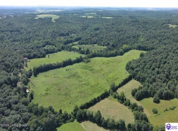 Alvie Road, Payneville, Kentucky 40157, ,For Sale,Alvie Road,HK24002540