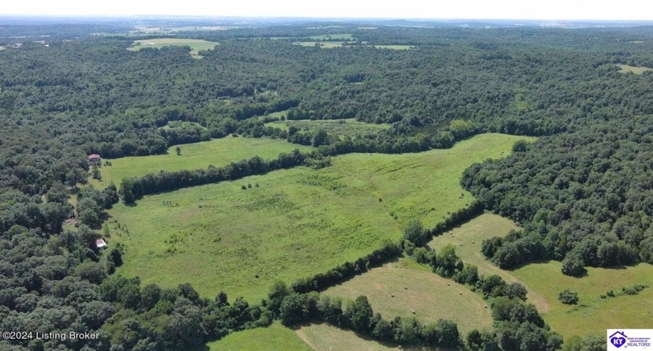 Alvie Road, Payneville, Kentucky 40157, ,For Sale,Alvie Road,HK24002540