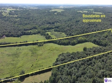 Alvie Road, Payneville, Kentucky 40157, ,For Sale,Alvie Road,HK24002540