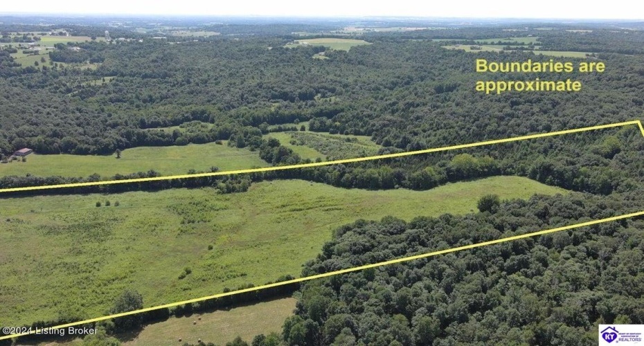 Alvie Road, Payneville, Kentucky 40157, ,For Sale,Alvie Road,HK24002540