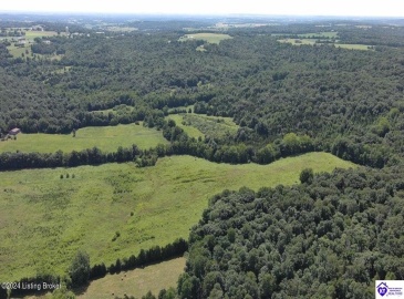 Alvie Road, Payneville, Kentucky 40157, ,For Sale,Alvie Road,HK24002540