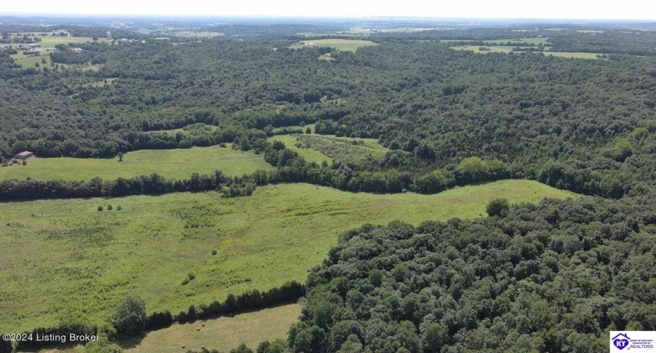 Alvie Road, Payneville, Kentucky 40157, ,For Sale,Alvie Road,HK24002540