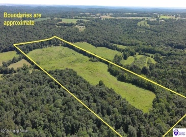 Alvie Road, Payneville, Kentucky 40157, ,For Sale,Alvie Road,HK24002540