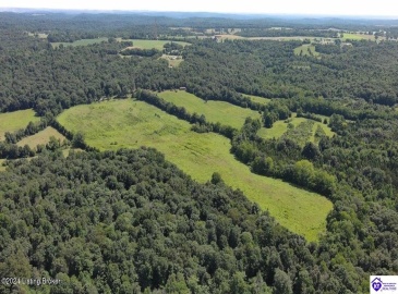 Alvie Road, Payneville, Kentucky 40157, ,For Sale,Alvie Road,HK24002540