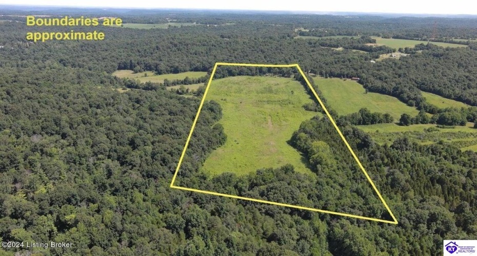 Alvie Road, Payneville, Kentucky 40157, ,For Sale,Alvie Road,HK24002540