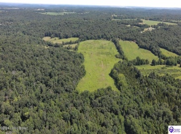 Alvie Road, Payneville, Kentucky 40157, ,For Sale,Alvie Road,HK24002540