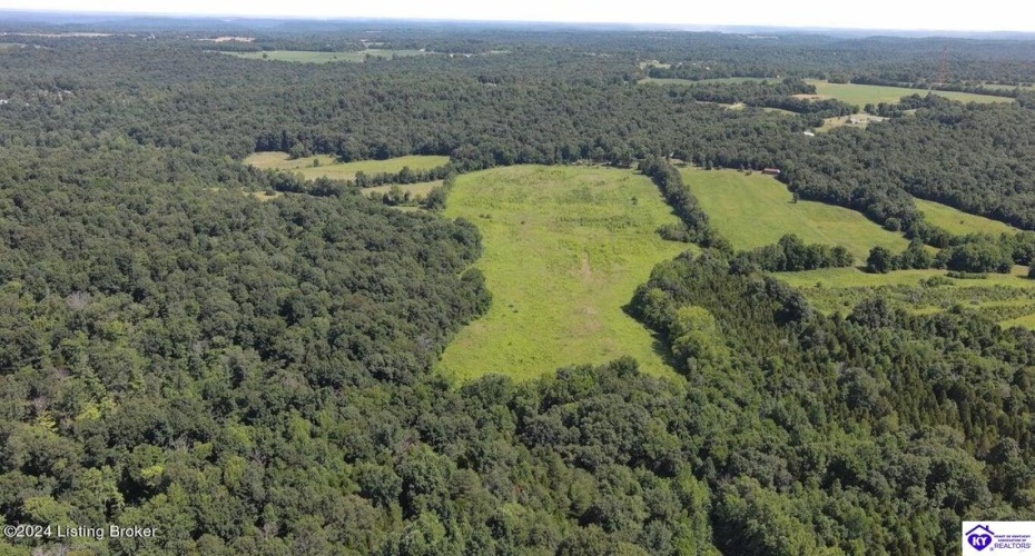 Alvie Road, Payneville, Kentucky 40157, ,For Sale,Alvie Road,HK24002540