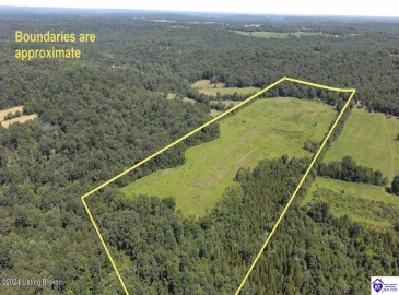 Alvie Road, Payneville, Kentucky 40157, ,For Sale,Alvie Road,HK24002540