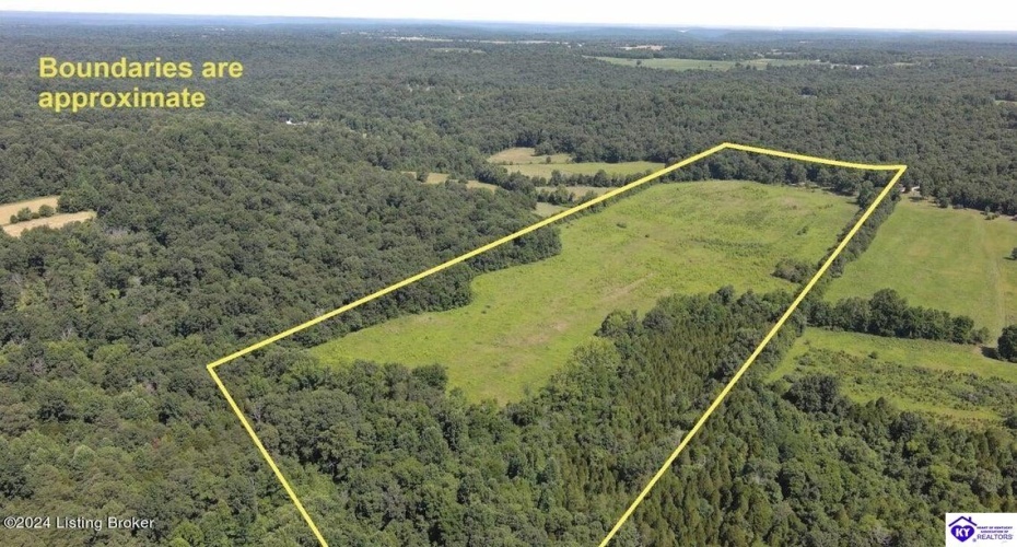 Alvie Road, Payneville, Kentucky 40157, ,For Sale,Alvie Road,HK24002540