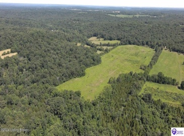 Alvie Road, Payneville, Kentucky 40157, ,For Sale,Alvie Road,HK24002540