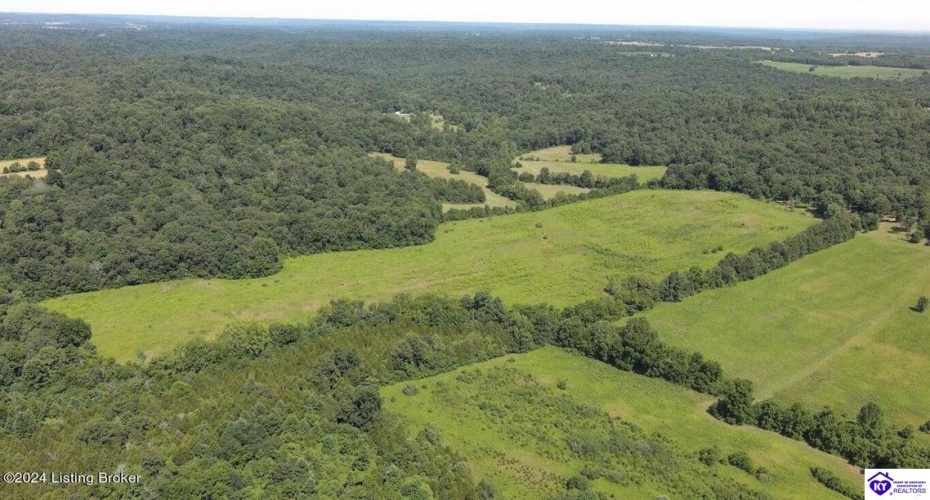 Alvie Road, Payneville, Kentucky 40157, ,For Sale,Alvie Road,HK24002540