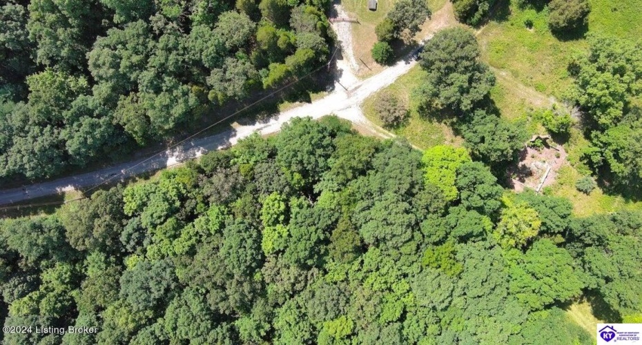 Alvie Road, Payneville, Kentucky 40157, ,For Sale,Alvie Road,HK24002540