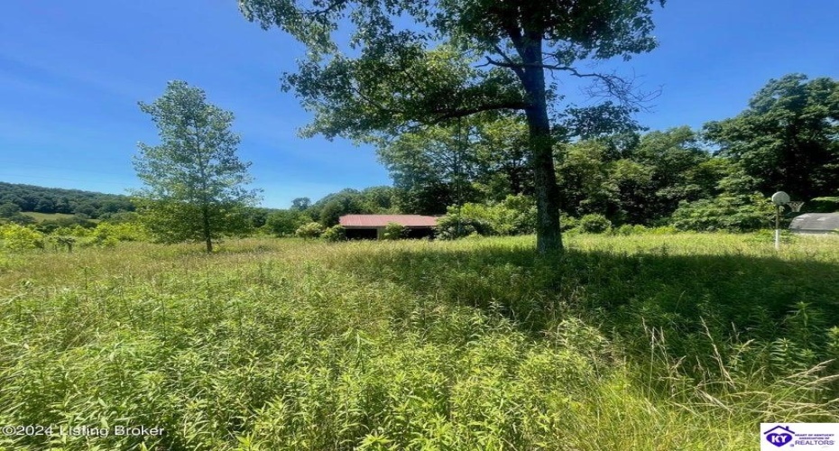 Alvie Road, Payneville, Kentucky 40157, ,For Sale,Alvie Road,HK24002540