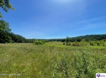 Alvie Road, Payneville, Kentucky 40157, ,For Sale,Alvie Road,HK24002540