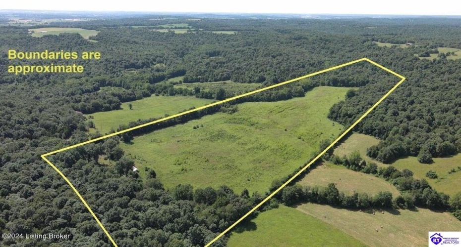 Alvie Road, Payneville, Kentucky 40157, ,For Sale,Alvie Road,HK24002540