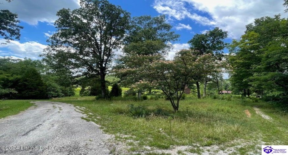 Alvie Road, Payneville, Kentucky 40157, ,For Sale,Alvie Road,HK24002540