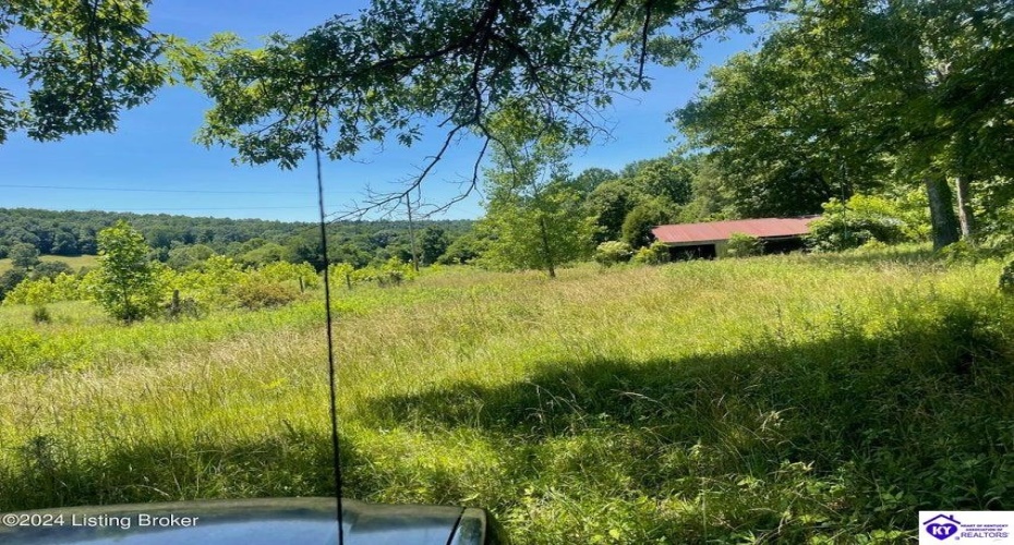 Alvie Road, Payneville, Kentucky 40157, ,For Sale,Alvie Road,HK24002540