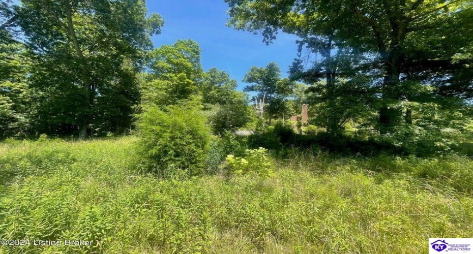 Alvie Road, Payneville, Kentucky 40157, ,For Sale,Alvie Road,HK24002540