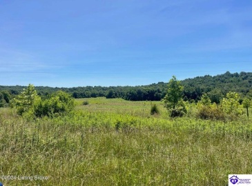 Alvie Road, Payneville, Kentucky 40157, ,For Sale,Alvie Road,HK24002540