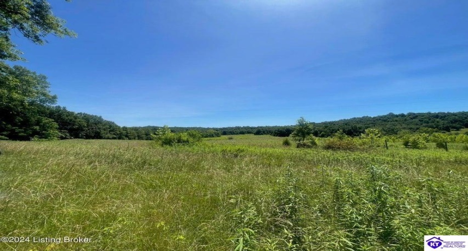 Alvie Road, Payneville, Kentucky 40157, ,For Sale,Alvie Road,HK24002540