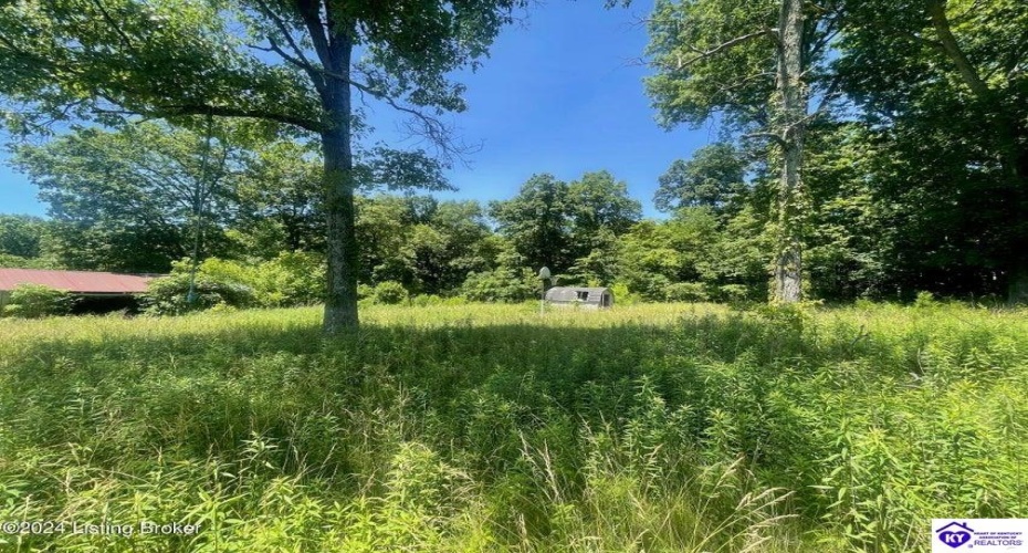 Alvie Road, Payneville, Kentucky 40157, ,For Sale,Alvie Road,HK24002540