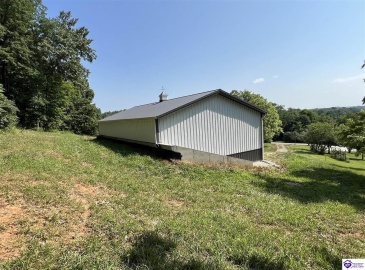 Springdale Road, Guston, Kentucky 40142, ,For Sale,Springdale Road,HK24002553
