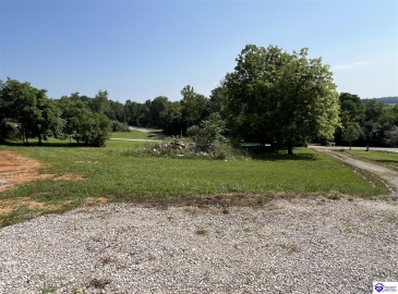 Springdale Road, Guston, Kentucky 40142, ,For Sale,Springdale Road,HK24002553