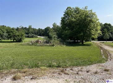 Springdale Road, Guston, Kentucky 40142, ,For Sale,Springdale Road,HK24002553