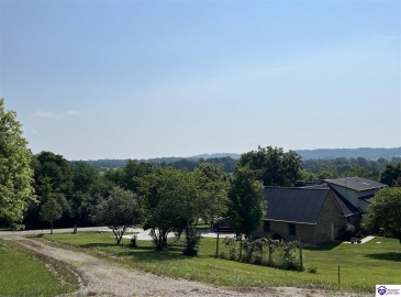 Springdale Road, Guston, Kentucky 40142, ,For Sale,Springdale Road,HK24002553