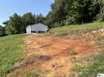 Springdale Road, Guston, Kentucky 40142, ,For Sale,Springdale Road,HK24002553