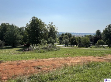 Springdale Road, Guston, Kentucky 40142, ,For Sale,Springdale Road,HK24002553