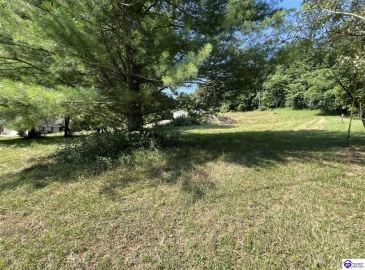 Springdale Road, Guston, Kentucky 40142, ,For Sale,Springdale Road,HK24002553